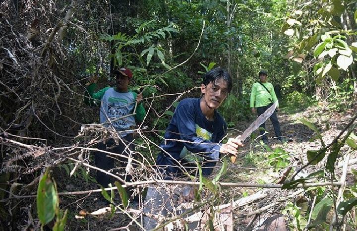 EU, Malaysia, and Indonesia Create Deforestation Regulation Task Force